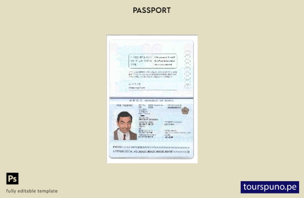 Plantilla de pasaporte de Corea del Sur lista para imprimir